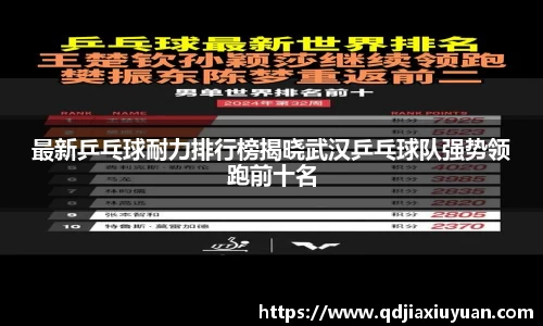 最新乒乓球耐力排行榜揭晓武汉乒乓球队强势领跑前十名