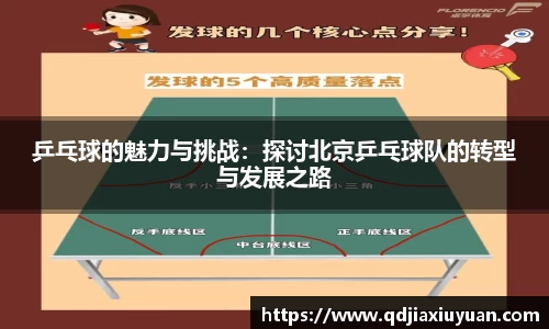 乒乓球的魅力与挑战：探讨北京乒乓球队的转型与发展之路