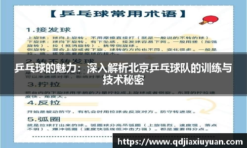 DB旗舰官网