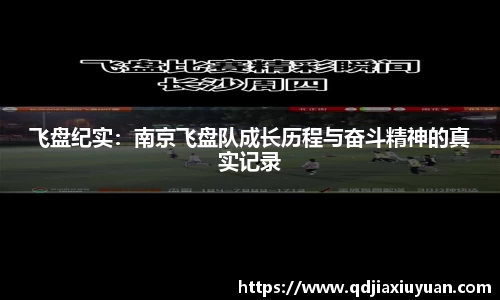 DB旗舰