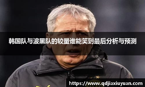 韩国队与波黑队的较量谁能笑到最后分析与预测