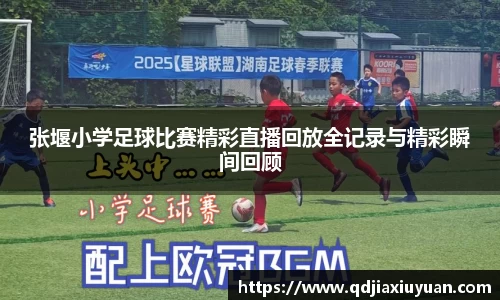 DB真人shi'xun